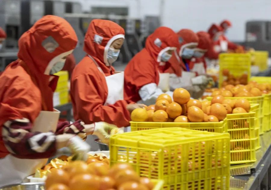 2025云南名牌农产品_云南农产品品牌_云南优质农产品