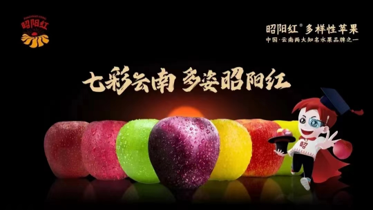 褚橙柳桃等品牌农产品_褚橙品种_褚橙品牌的品牌构成