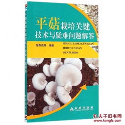 平菇种植：揭秘高效益的关键技术