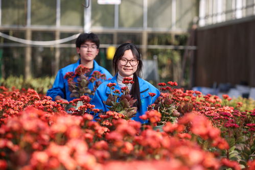 探索绿色未来：揭秘花卉种植技术学校的创新之路