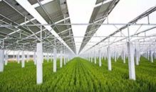《农业视频种植技术网：解锁高效农业新密码，您准备好了吗？》