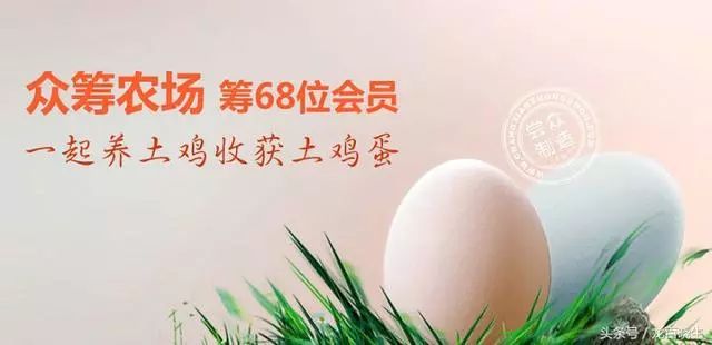 农产品信息网_农网信息产品经理招聘_农网资料