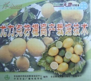 揭秘柠檬种植奥秘：高效技术助力果农增收