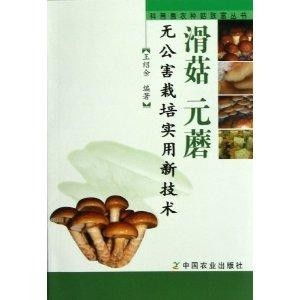 揭秘元蘑种植：如何打造高效益的菌菇王国？