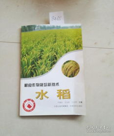 小麦种植技术培训教案：提升产量，保障粮食安全