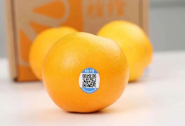 农产品溯源网_溯源农业科技有限公司_溯源农业