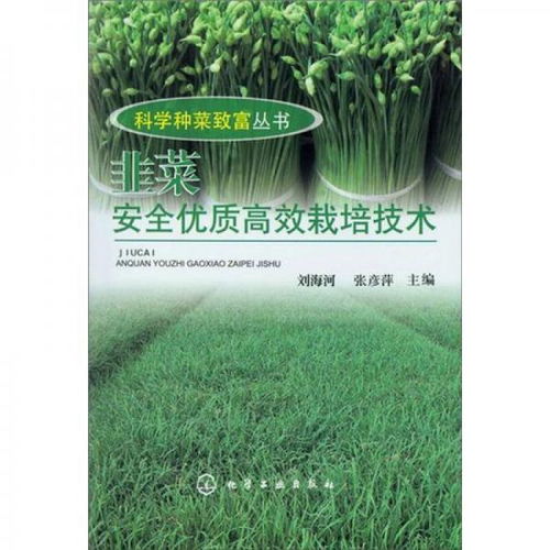 揭秘韭菜种植秘诀：如何高效培育优质韭菜？