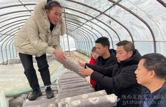 探寻食用菌种植的奥秘——揭秘新型食用菌种植技术学校