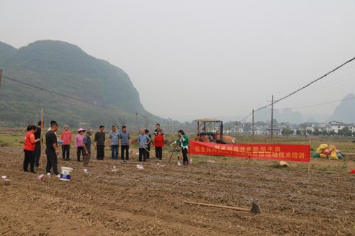 《花生起垄高产种植技术揭秘：如何提升亩产效益？》