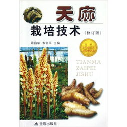 《揭秘天麻种植奥秘：从新手到专家的进阶指南》