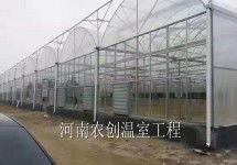 塑料大棚种植技术规范揭秘：如何打造高效农业生态圈？