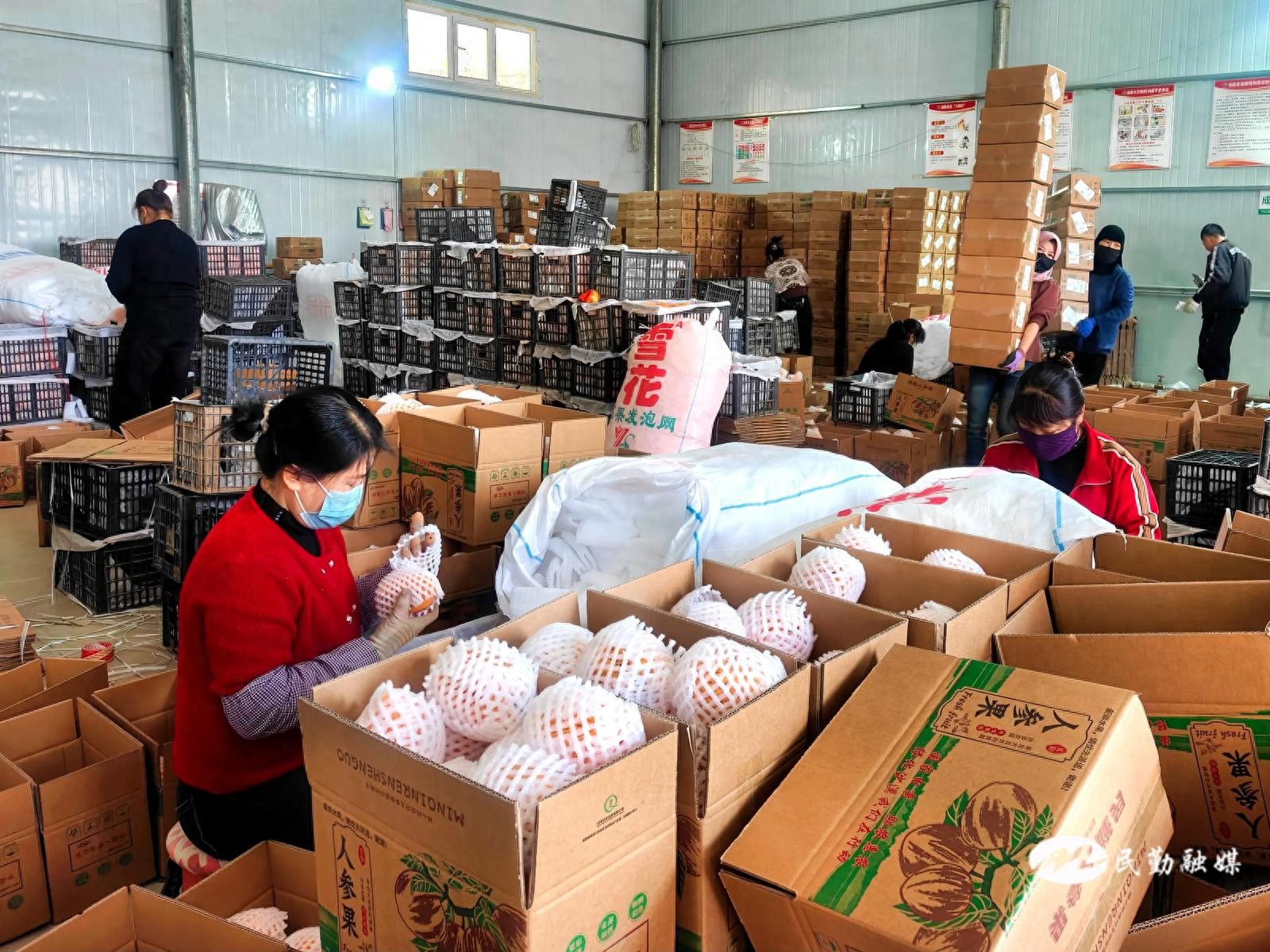 农业产品电商_农电商平台_2025农产品电商交易额