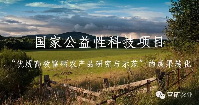 富硒农产品产业链_富硒生态农业_富硒农产品开发