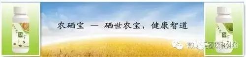 富硒生态农业_富硒农产品开发_富硒农产品产业链