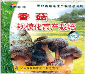 香菇种植技术培训完美落幕，揭秘高效种植秘诀！