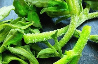 牧草种植技术教程：如何提高牧草产量与质量？
