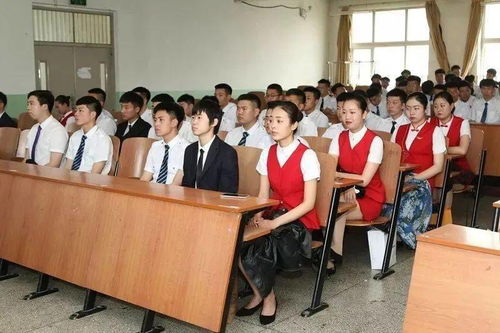 揭秘日本南瓜种植技术与管理：高效益的秘诀在哪里？
