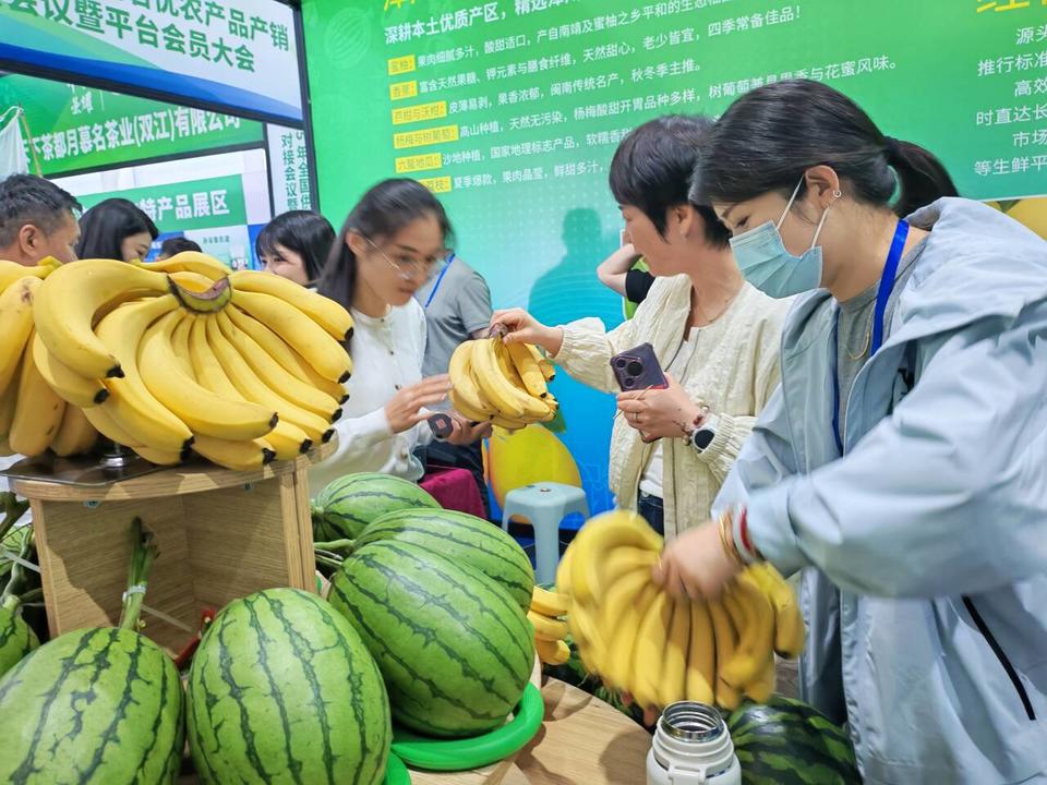 农产品电商交易总额_农电商平台_2025农产品电商交易额