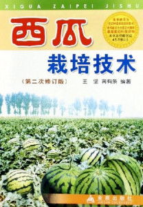 西瓜种植攻略：揭秘高效种植方法，助力丰收季节