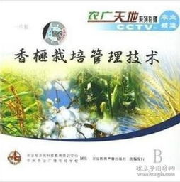 《盘栽种植技术揭秘：如何让植物在阳台也能茁壮成长？》