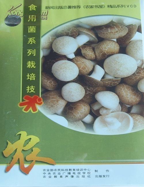 探索食用菌种植奥秘：哪里学？如何入门？