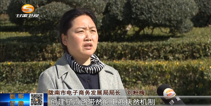 农产品电子商务的营销模式创新_电子商务农产品营销策略_农村电子商务商业模式