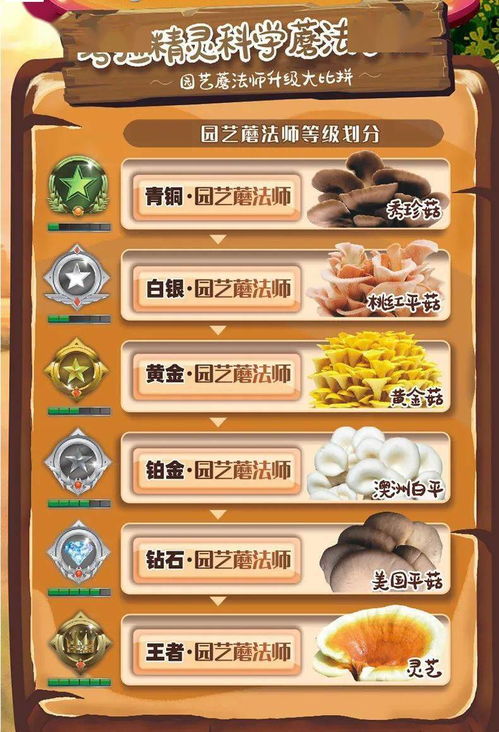 剑三蘑菇种植技术揭秘：如何培育出优质蘑菇，提升游戏体验？