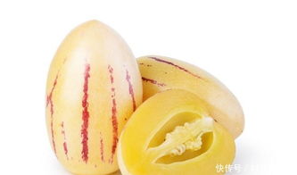 揭秘人参果树种植秘籍：如何培育出高品质人参果？