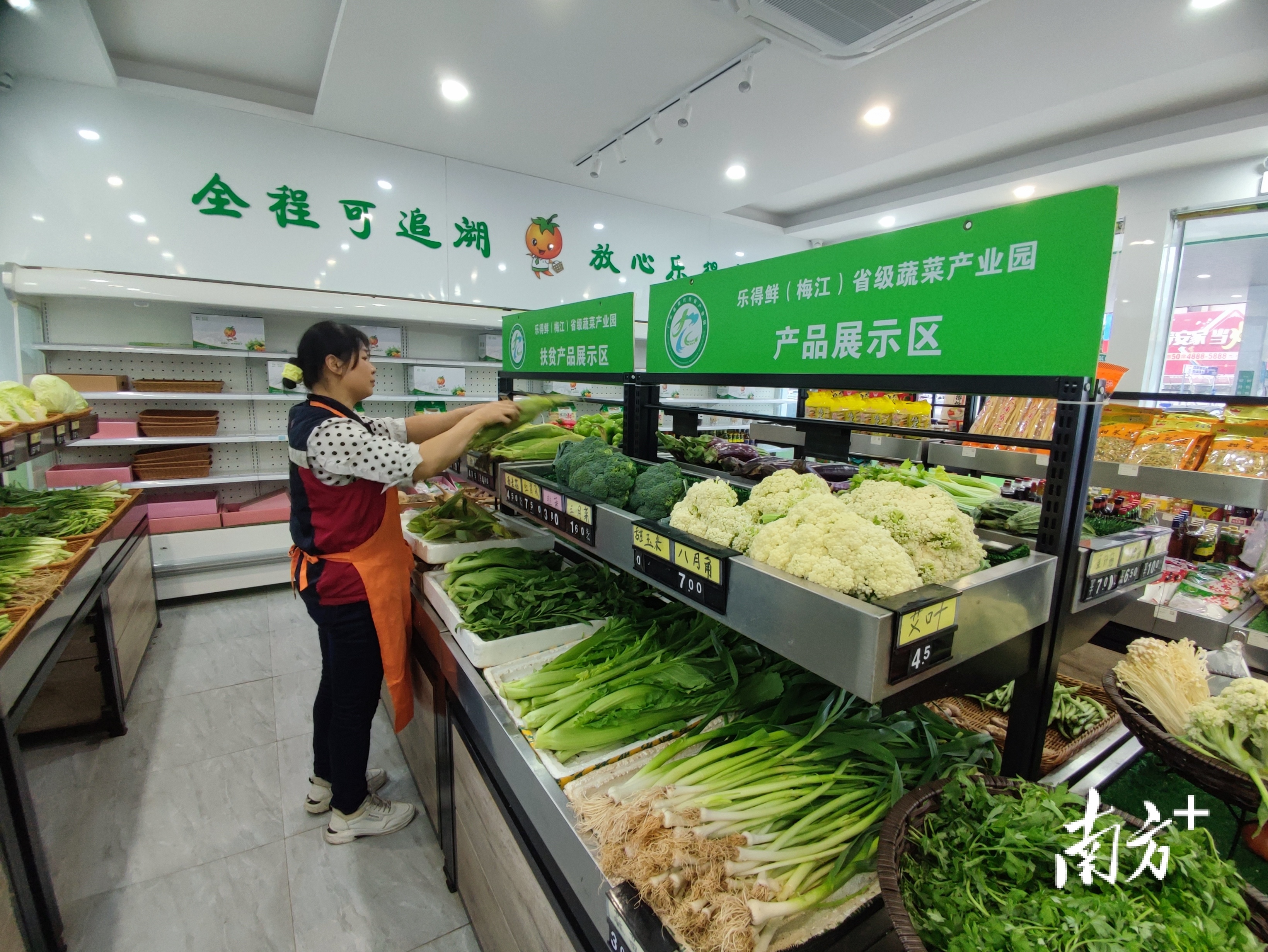 广东梅州农产品信息_梅州农产品网销平台_梅州广东农信营业网点