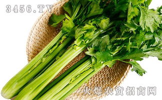 《小香芹种植攻略：揭秘高效种植秘诀，助力丰收！》