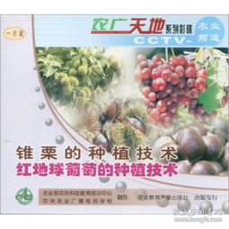 揭秘种植技术视频大全：农业新手的必修课