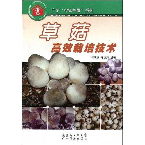 揭秘草菇种植之谜：技术革新助力绿色农业发展