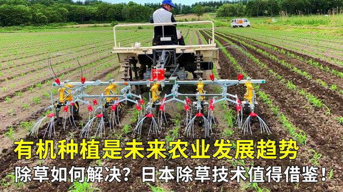 农业种植技术革新，如何开启高效农业新时代？