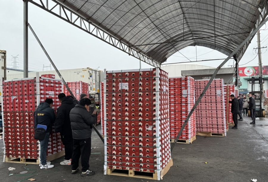 农贸干货批发市场_农产品干货批发市场进货渠道_农产品干货批发市场