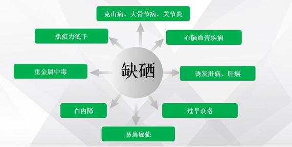 富硒农产品产业链_富硒农产品市场规模_富硒农产品市场分析