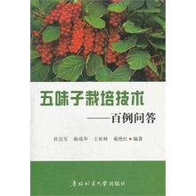《五味子种植新篇章：技术升级，销路拓宽，市场前景无限？》