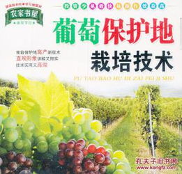 《北方葡萄种植技术揭秘：如何让葡萄园丰收在望？》