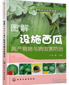 西瓜重茬种植：破解连作难题，提升产量与品质