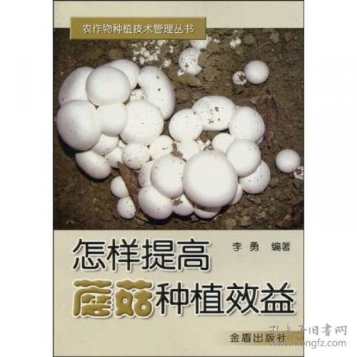 蘑菇种植新篇章：技术革新与管理之道探秘