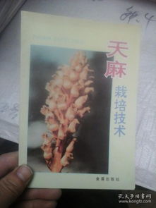 《天麻种植：揭秘高效技术与丰厚利润的秘密》
