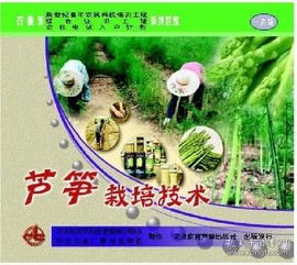 揭秘高产芦笋种植技术，助力农业丰收新篇章