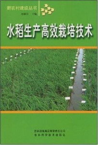 《水稻种植新篇章：揭秘高效种植技术书籍，助您丰收在望！》