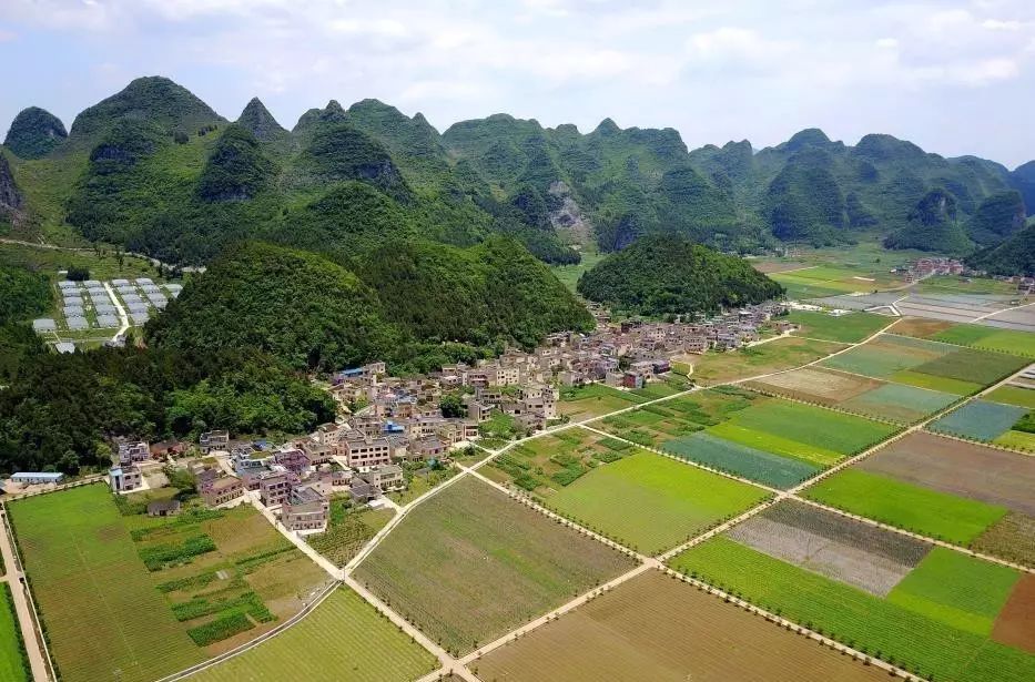 贯彻省党代会精神，贵州印发绿色农产品泉涌工程方案