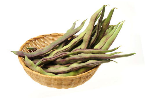 《揭秘扁豆角高效种植技术：如何打造丰产田？》