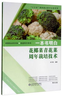 揭秘菜花种植奥秘：技术视频带你走进高效农业时代