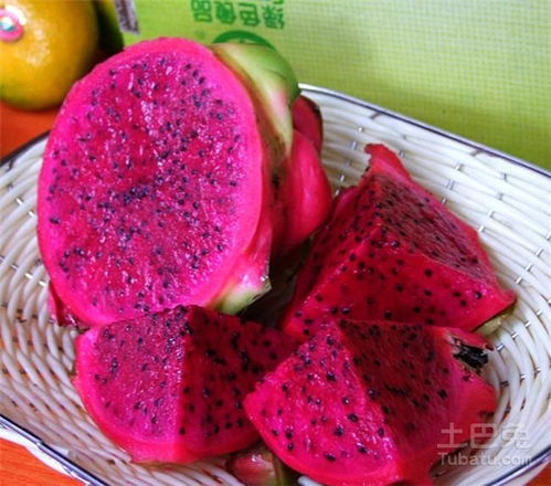 《火龙果种植宝典：揭秘高效种植技术，助力产业发展新篇章》