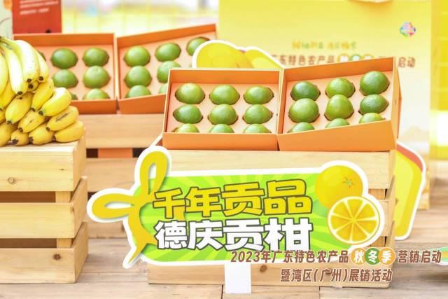 特色农产品营销_翡翠绿璞柑_广东特色农产品秋冬季营销