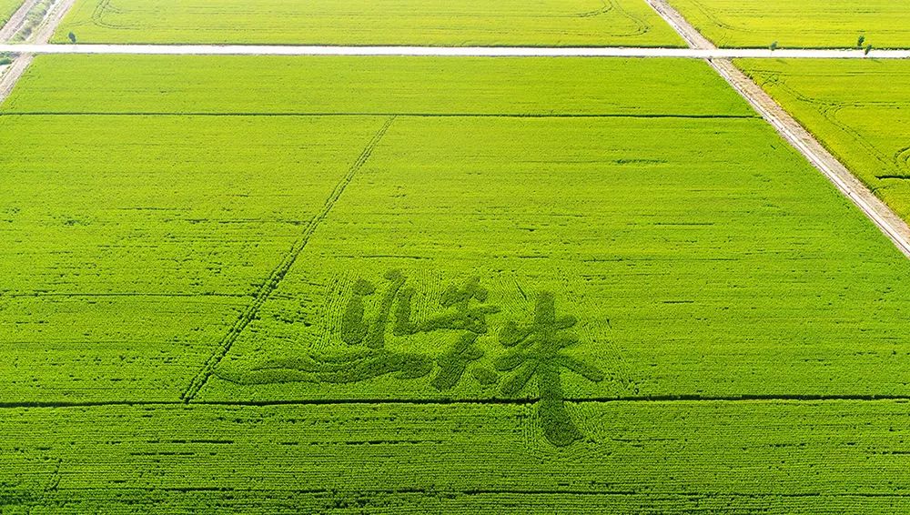 淮安食品安全透明共治_淮安绿色食品博览会_淮安农产品地理标志