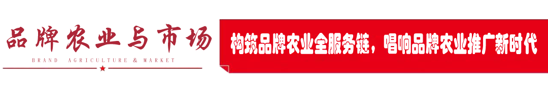 我国是蔬菜产销大国，来看为让我们大口吃菜努力的省份