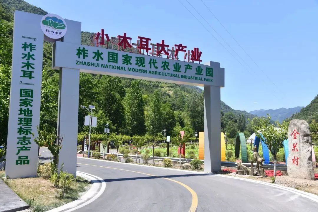 山东地理标志蔬菜_淮安农产品地理标志_地理标志蔬菜产品